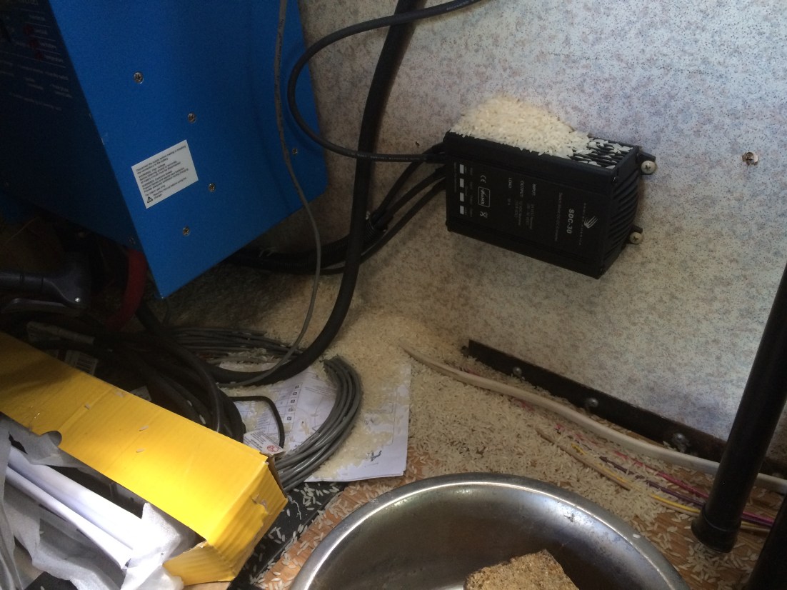 Photo Jun 02, 11 57 30 AM.jpg