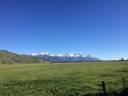 Photo Jun 04, 8 27 08 AM