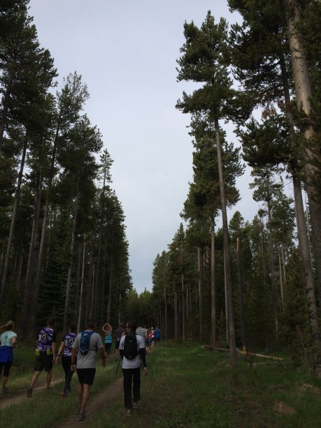 Photo Jun 11, 8 30 25 AM