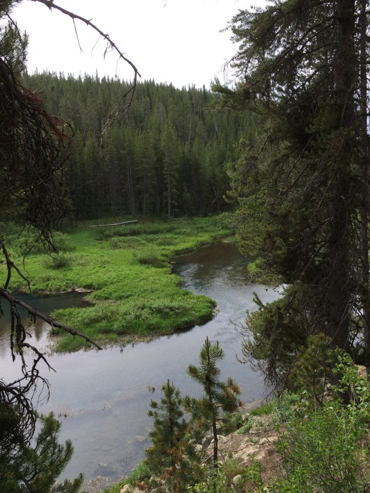 Photo Jun 11, 8 59 49 AM