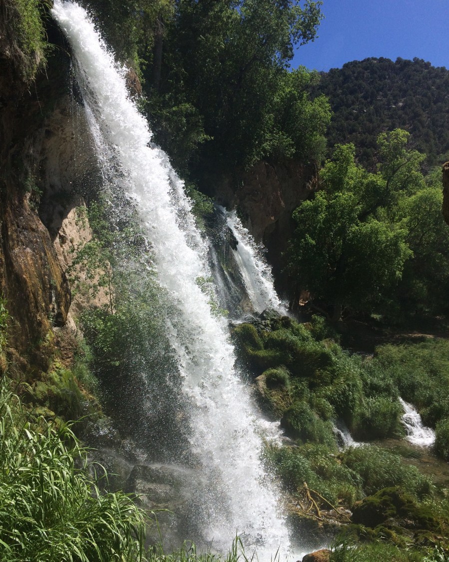 20170614_165626246_iOS