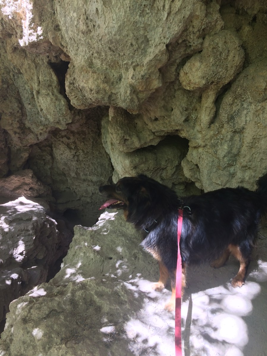 20170614_165846774_iOS